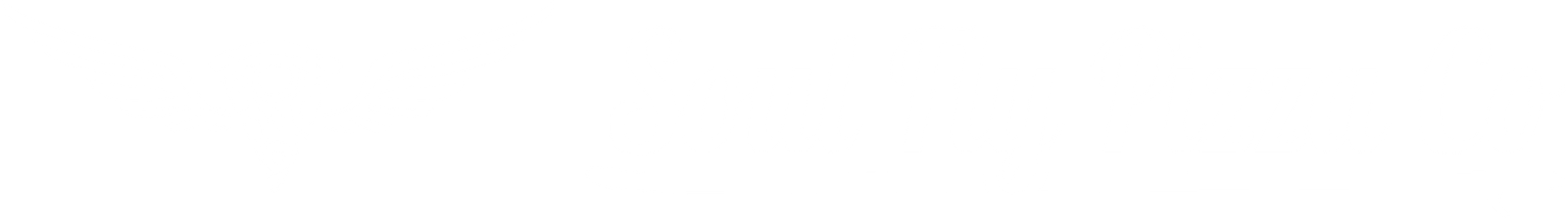 soul fly pizza horizontal logo white